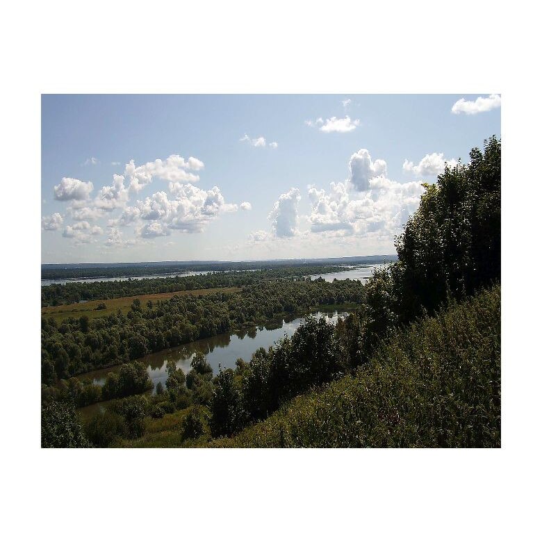 Tablou Canvas Natura, Dimensiunea 100x70 nat444