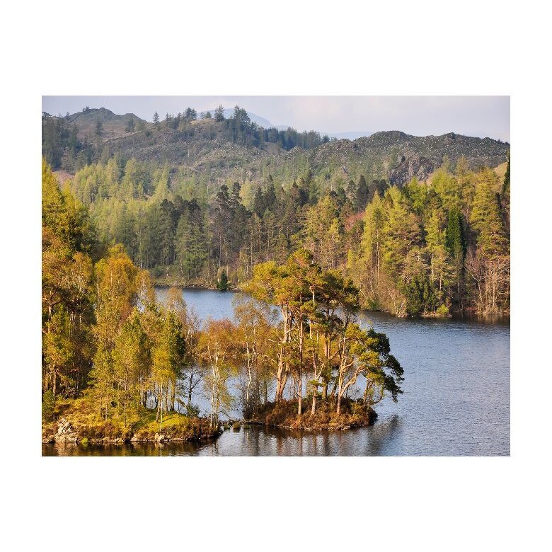 Tablou Canvas Natura, Dimensiunea 100x70 nat417