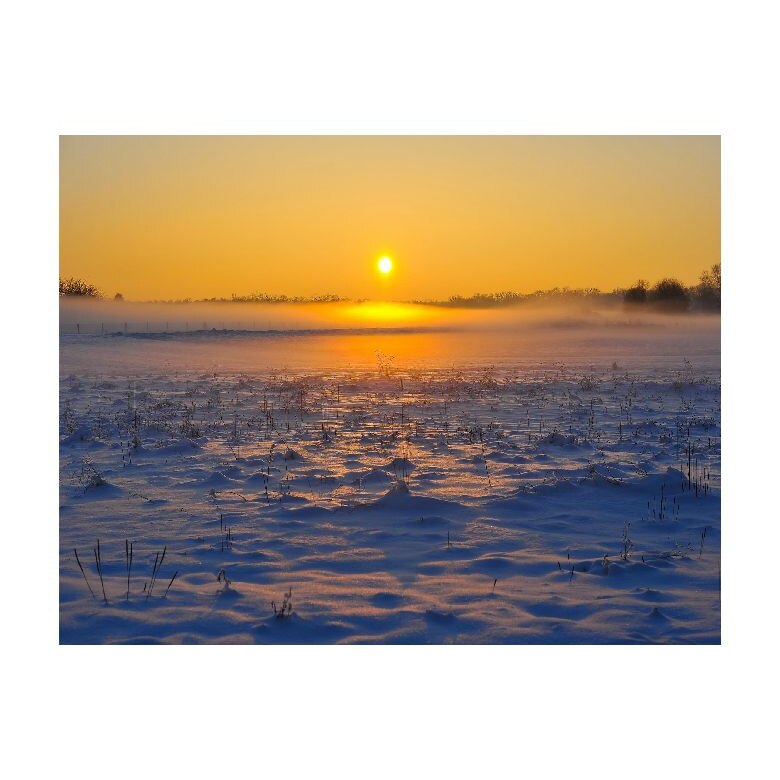 Tablou Canvas Natura, Dimensiunea 100x70 nat341