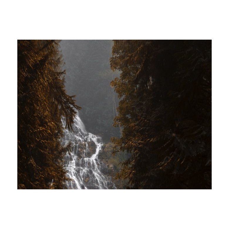 Tablou Canvas Natura, Dimensiunea 100x70 nat380