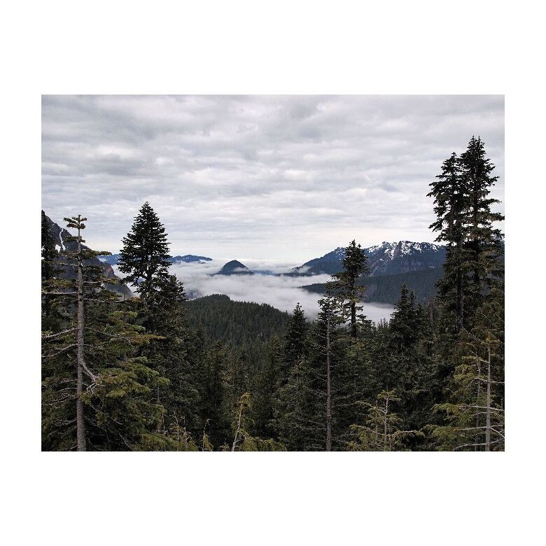 Tablou Canvas Natura, Dimensiunea 100x70 nat337