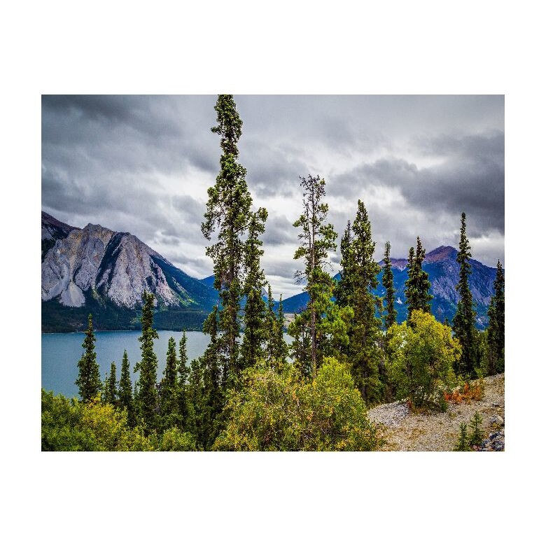 Tablou Canvas Natura, Dimensiunea 100x70 nat378