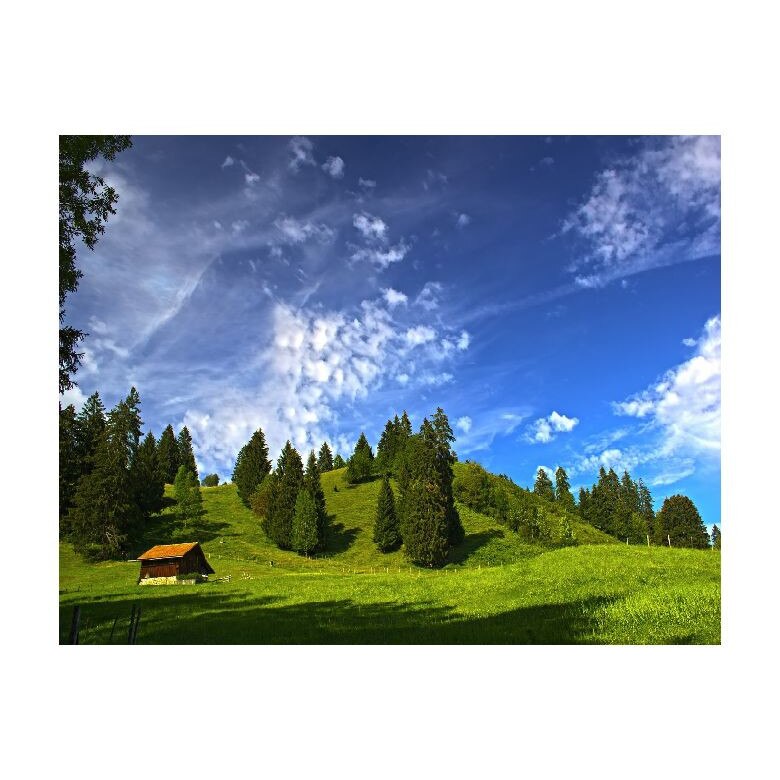 Tablou Canvas Natura, Dimensiunea 100x70 nat406