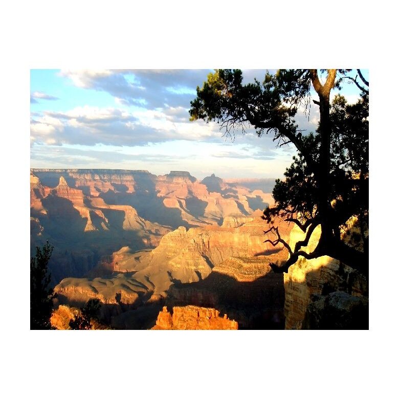 Tablou Canvas Natura, Dimensiunea 100x70 nat326