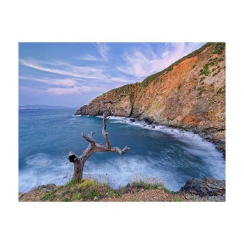 Tablou Canvas Natura, Dimensiunea 100x70 nat420 Tablou Canvas Natura, Dimensiunea 100x70 nat420