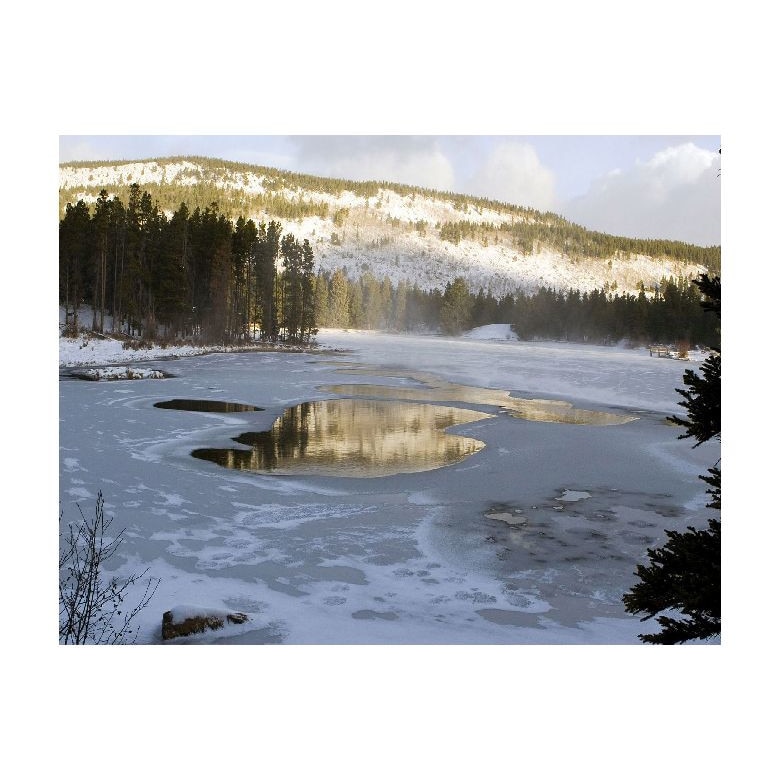 Tablou Canvas Natura, Dimensiunea 100x70 nat329