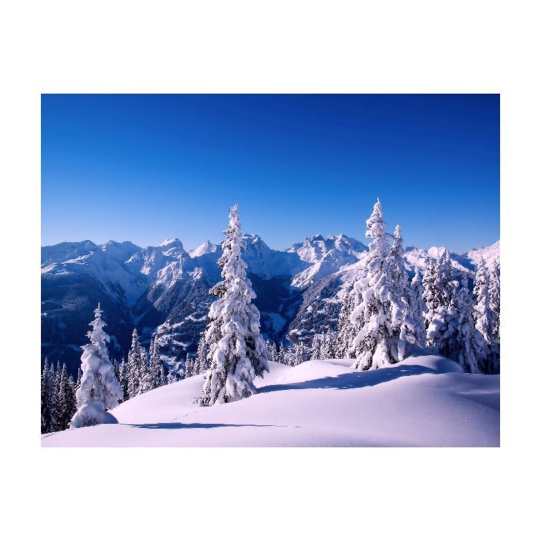 Tablou Canvas Natura, Dimensiunea 100x70 nat396