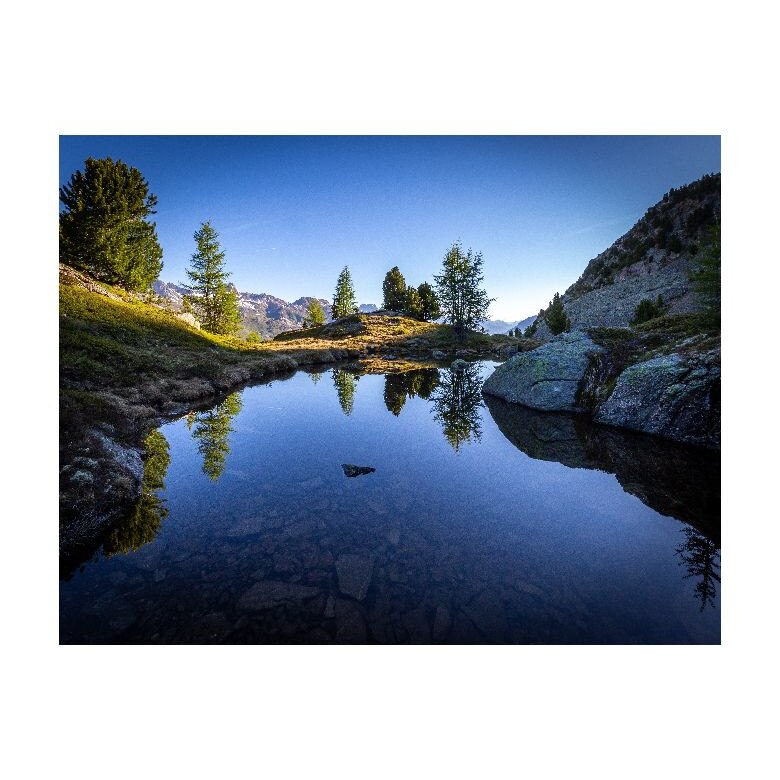 Tablou Canvas Natura, Dimensiunea 100x70 nat409