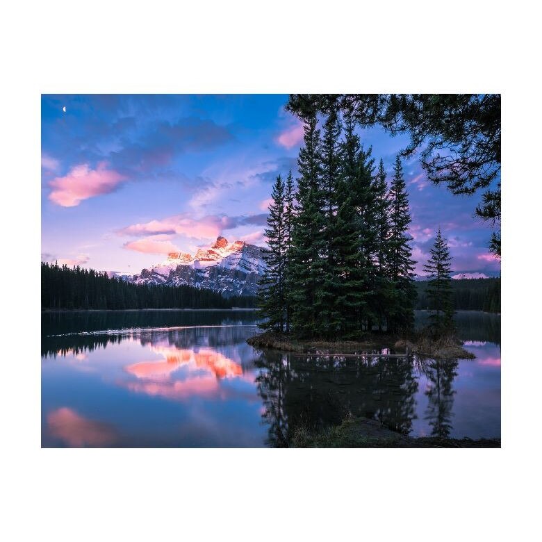 Tablou Canvas Natura, Dimensiunea 100x70 nat367