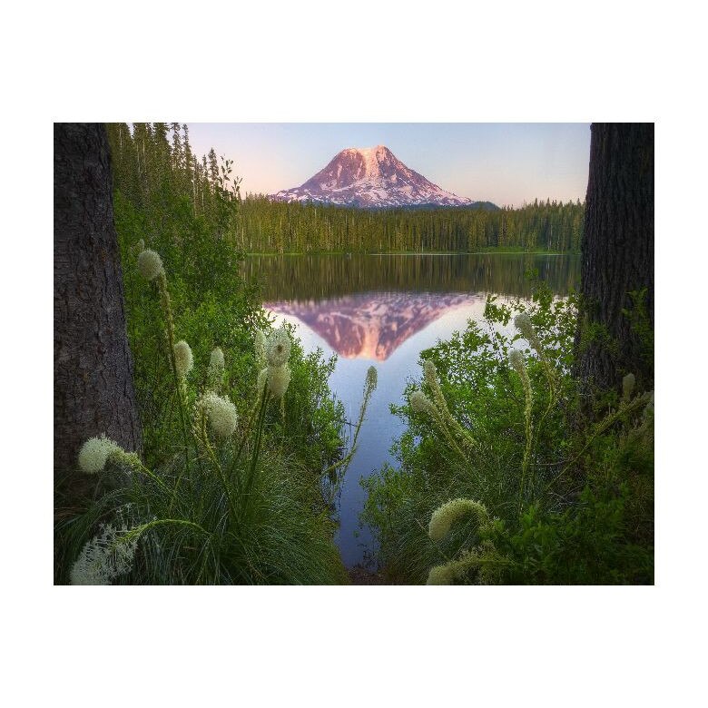 Tablou Canvas Natura, Dimensiunea 100x70 nat340