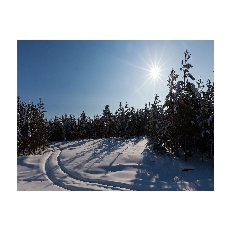 Tablou Canvas Natura, Dimensiunea 100x70 nat449