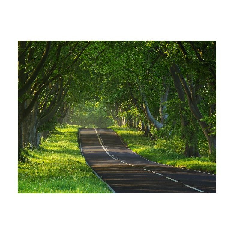 Tablou Canvas Natura, Dimensiunea 100x70 nat327