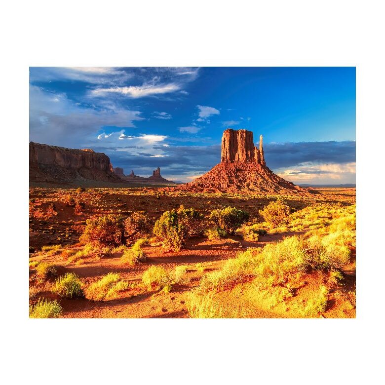 Tablou Canvas Natura, Dimensiunea 100x70 nat364