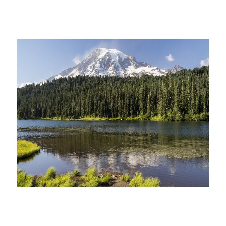 Tablou Canvas Natura, Dimensiunea 100x70 nat421