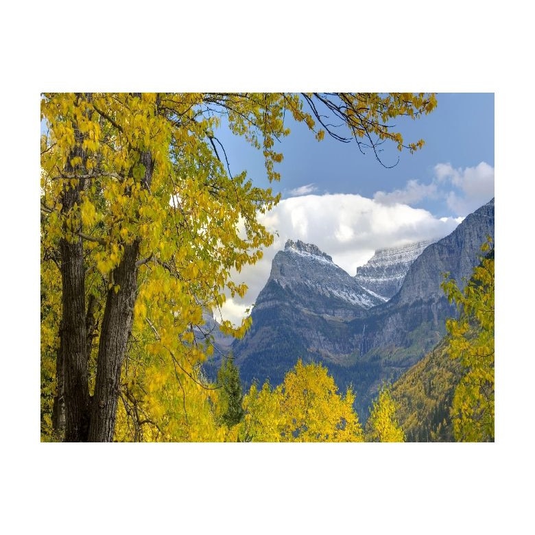 Tablou Canvas Natura, Dimensiunea 100x70 nat318