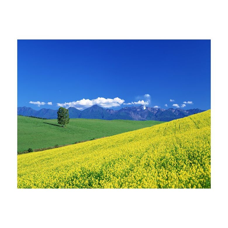 Tablou Canvas Natura, Dimensiunea 100x70 nat375