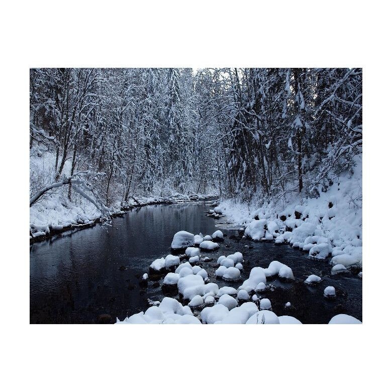 Tablou Canvas Natura, Dimensiunea 100x70 nat431