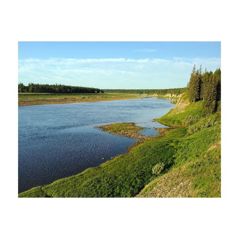 Tablou Canvas Natura, Dimensiunea 100x70 nat447