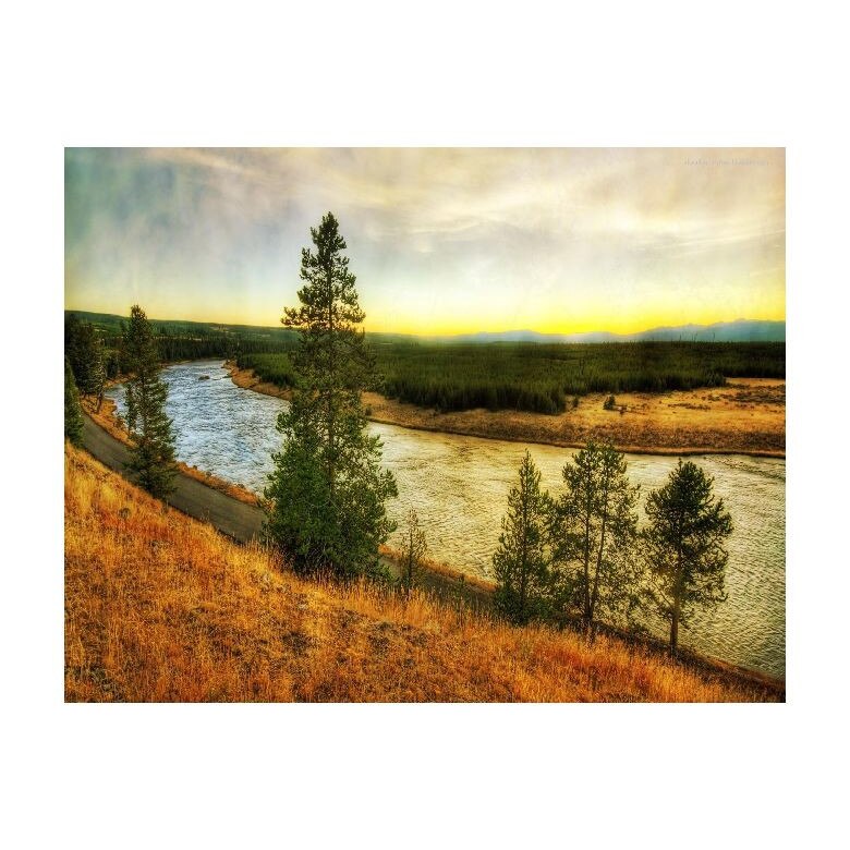 Tablou Canvas Natura, Dimensiunea 100x70 nat331