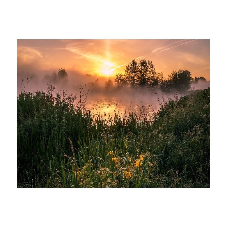 Tablou Canvas Natura, Dimensiunea 100x70 nat373