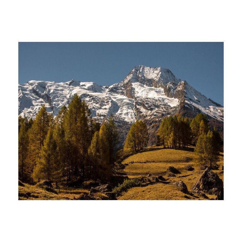 Tablou Canvas Natura, Dimensiunea 100x70 nat344