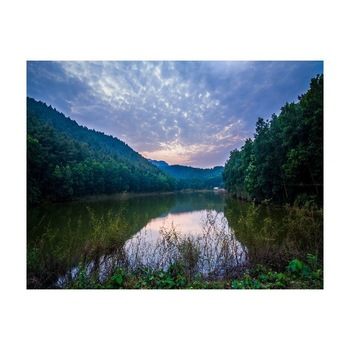 Tablou Canvas Natura, Dimensiunea 100x70 nat433 Tablou Canvas Natura, Dimensiunea 100x70 nat433