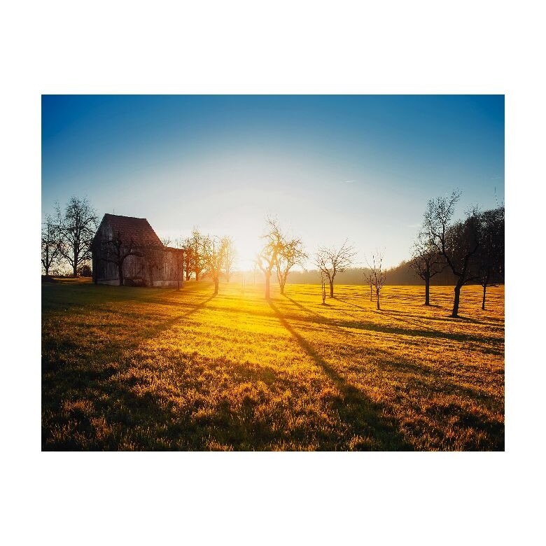 Tablou Canvas Natura, Dimensiunea 100x70 nat310