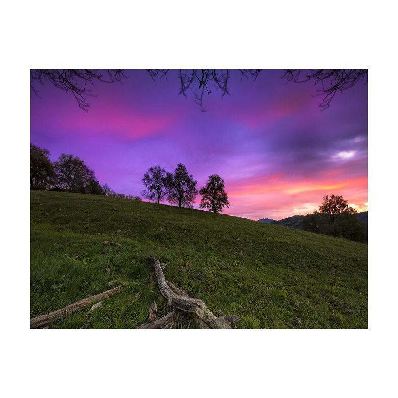 Tablou Canvas Natura, Dimensiunea 100x70 nat401