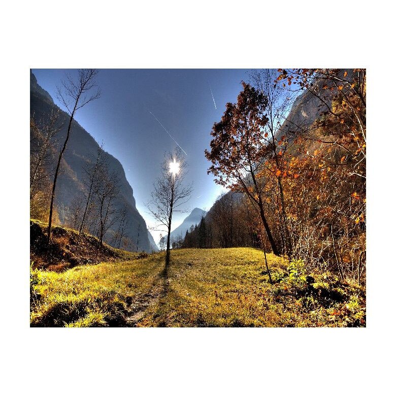 Tablou Canvas Natura, Dimensiunea 100x70 nat446