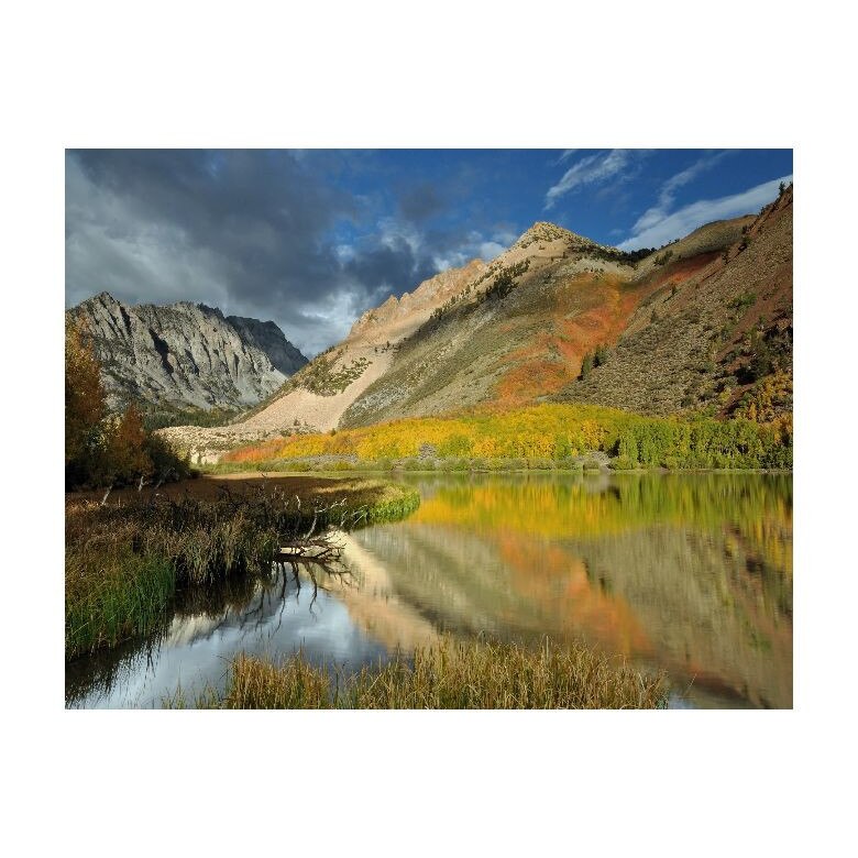 Tablou Canvas Natura, Dimensiunea 100x70 nat304