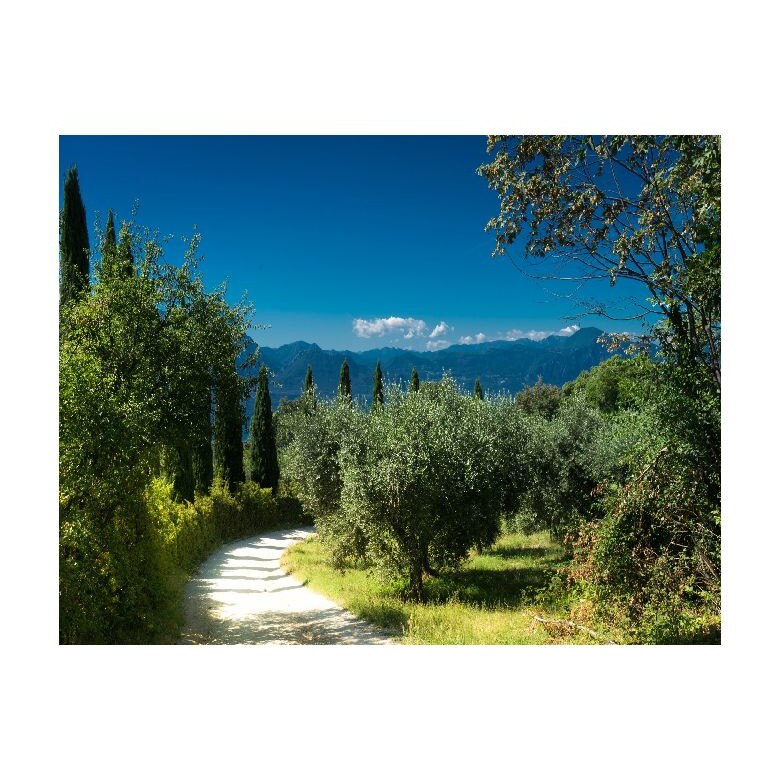 Tablou Canvas Natura, Dimensiunea 100x70 nat360