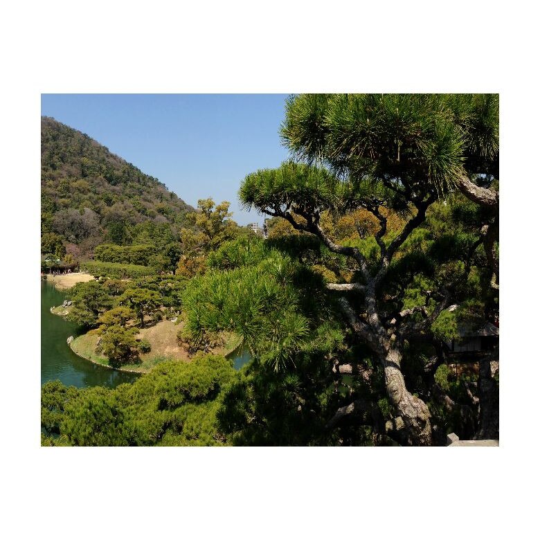 Tablou Canvas Natura, Dimensiunea 100x70 nat391