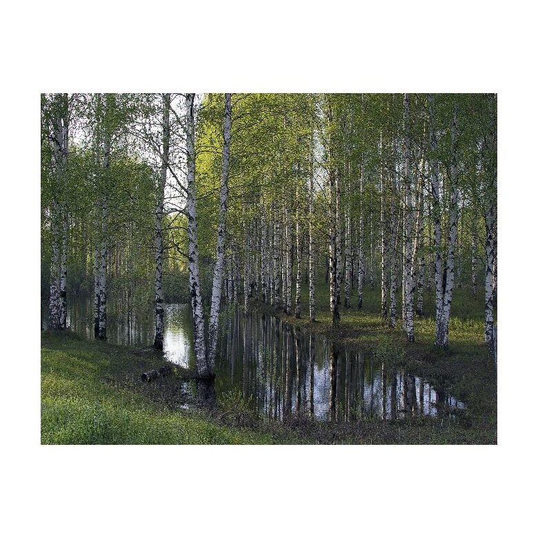Tablou Canvas Natura, Dimensiunea 100x70 nat394