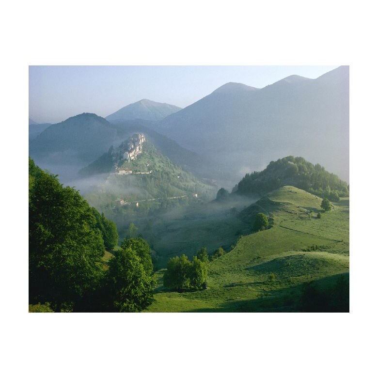 Tablou Canvas Natura, Dimensiunea 100x70 nat334