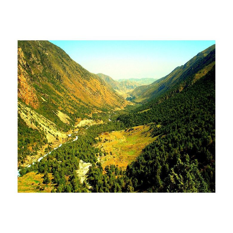 Tablou Canvas Natura, Dimensiunea 100x70 nat2002