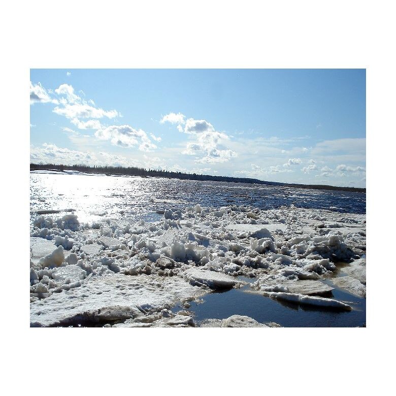 Tablou Canvas Natura, Dimensiunea 100x70 nat448