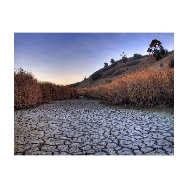 Tablou Canvas Natura, Dimensiunea 100x70 nat330