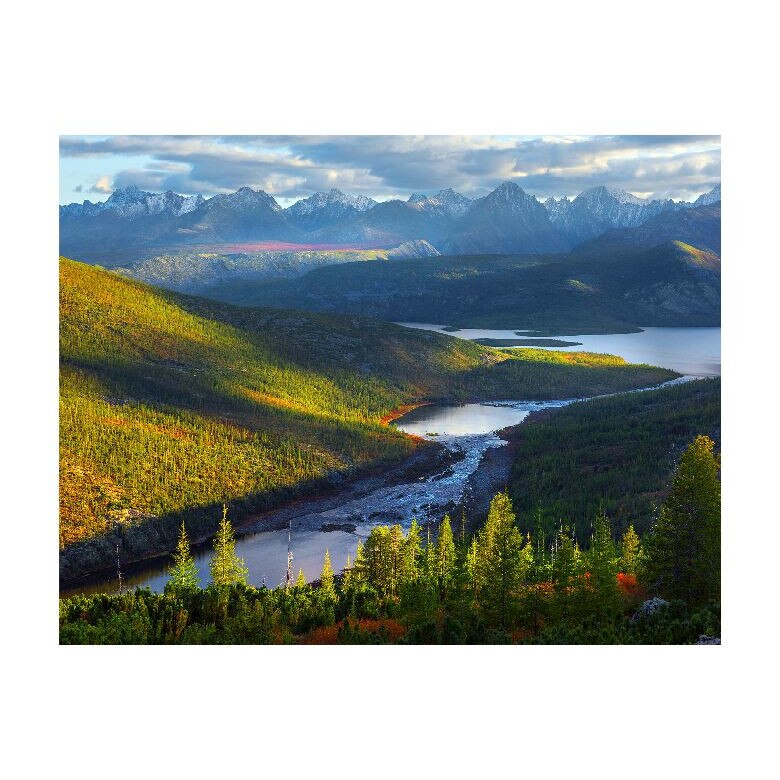 Tablou Canvas Natura, Dimensiunea 100x70 nat549