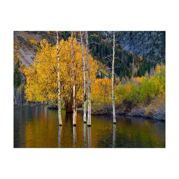 Tablou Canvas Natura, Dimensiunea 100x70 nat404 Tablou Canvas Natura, Dimensiunea 100x70 nat404