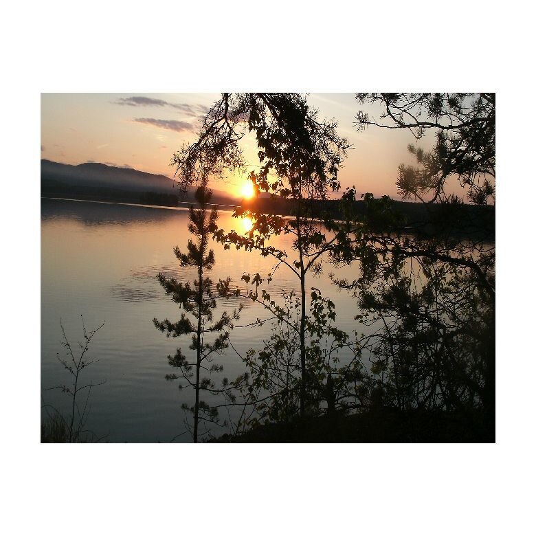 Tablou Canvas Natura, Dimensiunea 100x70 nat564