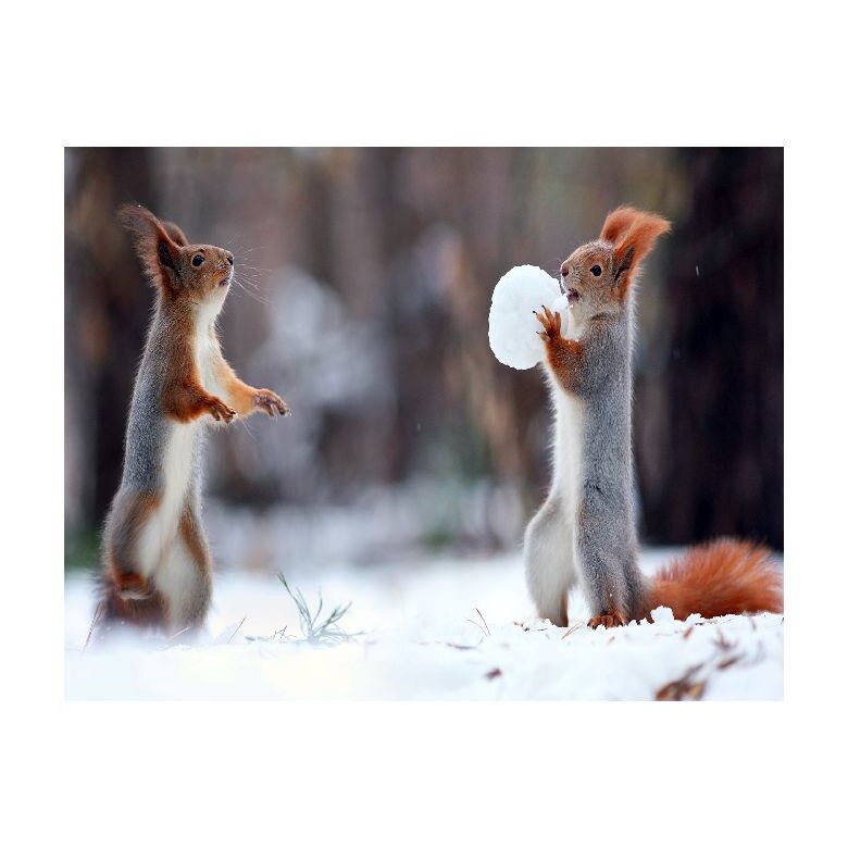 Tablou Canvas Natura, Dimensiunea 100x70 nat553