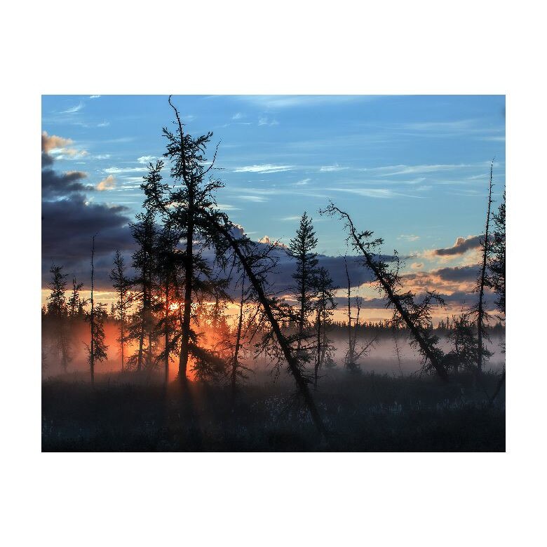 Tablou Canvas Natura, Dimensiunea 100x70 nat473