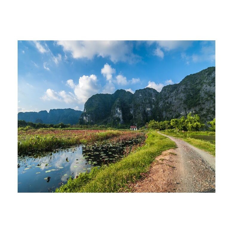 Tablou Canvas Natura, Dimensiunea 100x70 nat365