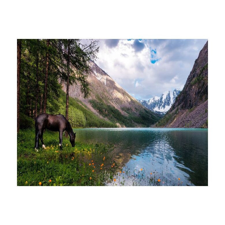 Tablou Canvas Natura, Dimensiunea 100x70 nat532