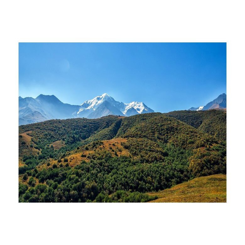 Tablou Canvas Natura, Dimensiunea 100x70 nat452