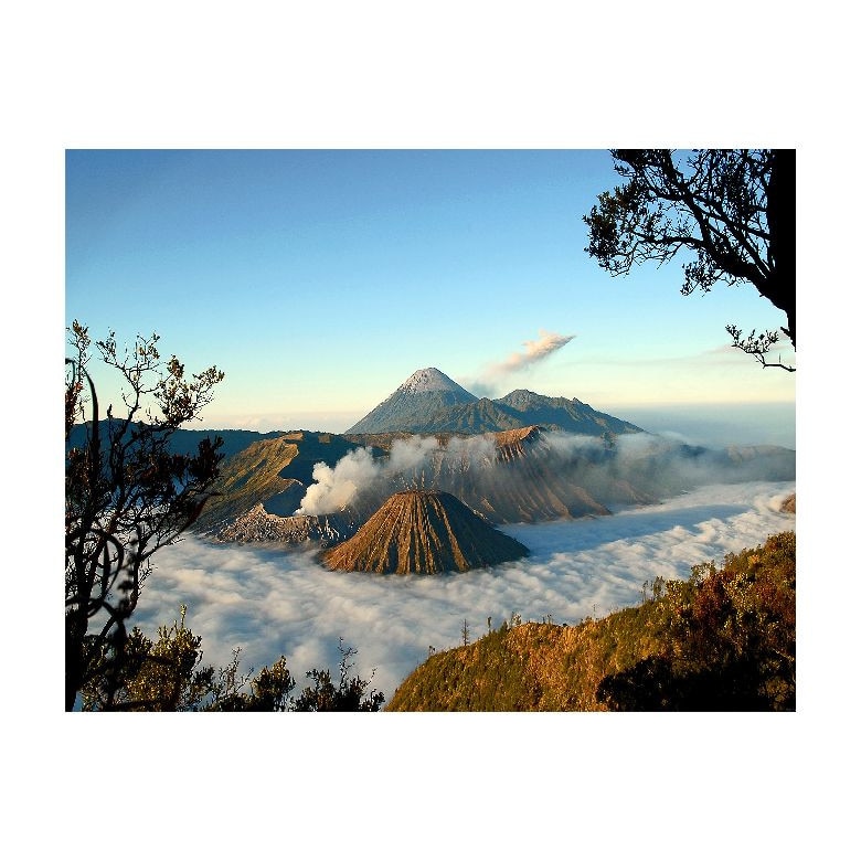 Tablou Canvas Natura, Dimensiunea 100x70 nat536