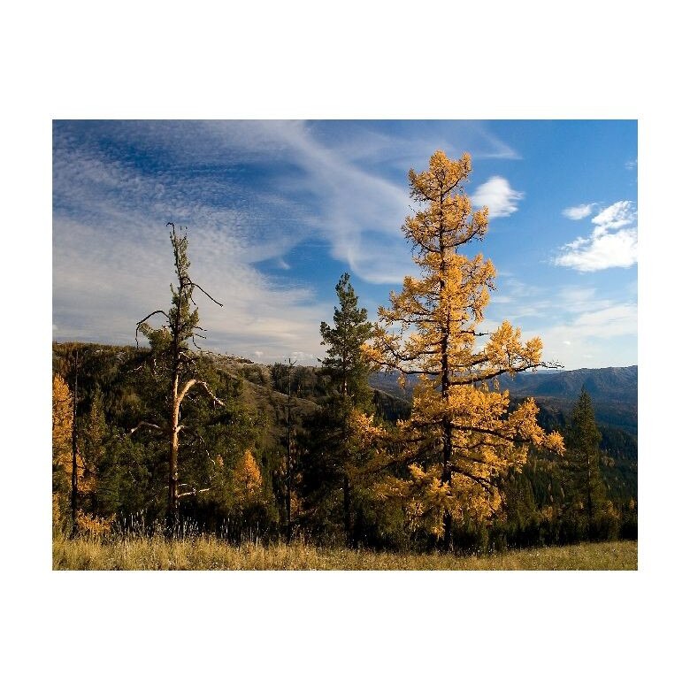 Tablou Canvas Natura, Dimensiunea 100x70 nat506