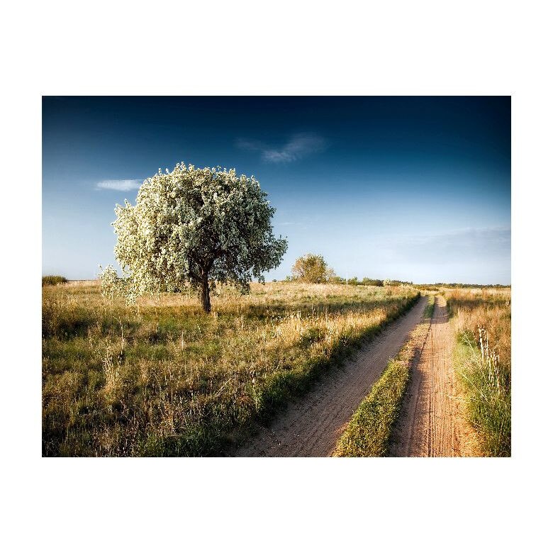 Tablou Canvas Natura, Dimensiunea 100x70 nat466