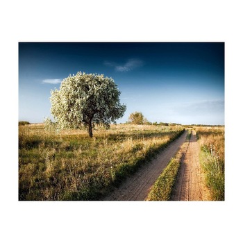 Tablou Canvas Natura, Dimensiunea 100x70 nat466 Tablou Canvas Natura, Dimensiunea 100x70 nat466