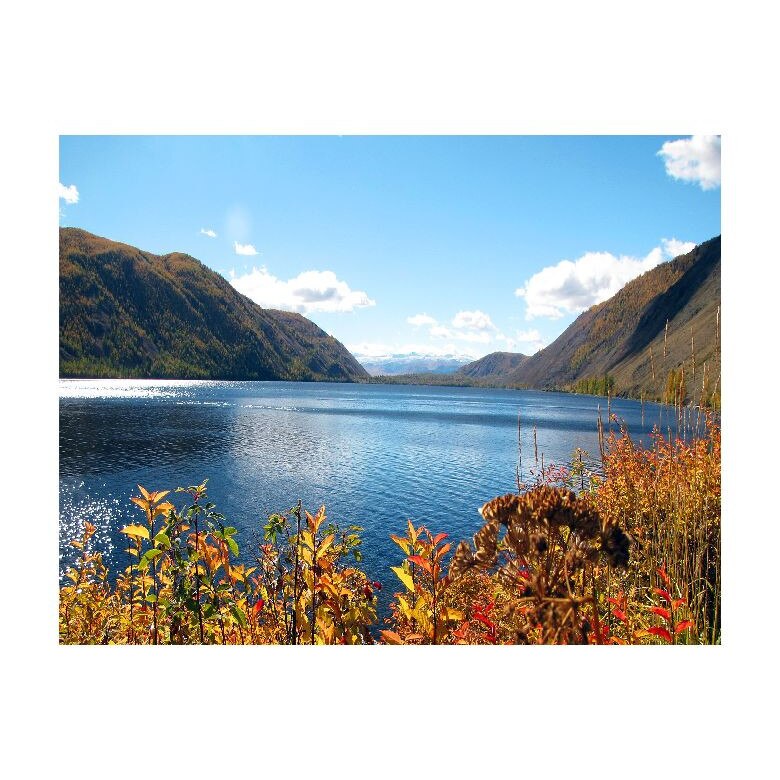 Tablou Canvas Natura, Dimensiunea 100x70 nat502